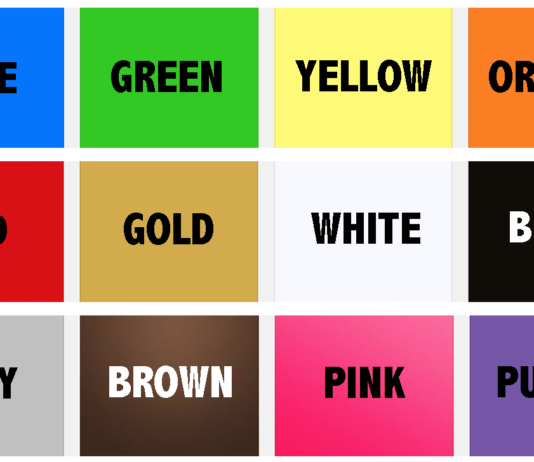 What's Your Favorite Color? Archives - Blind Facts